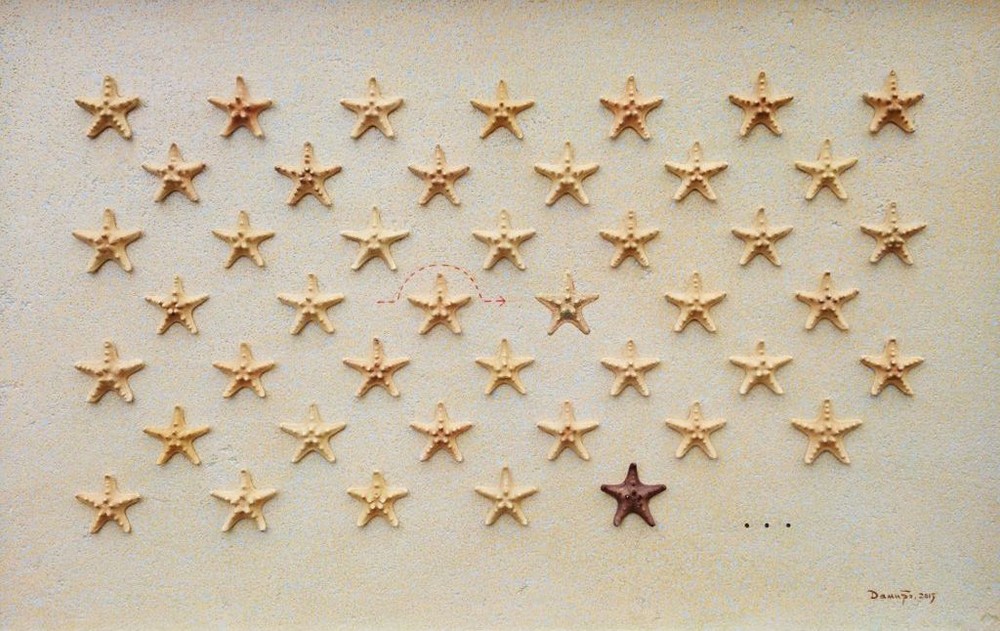 Presidents of the USA, 2015.  Plastic, oil, starfish.  60 x 94 cm.