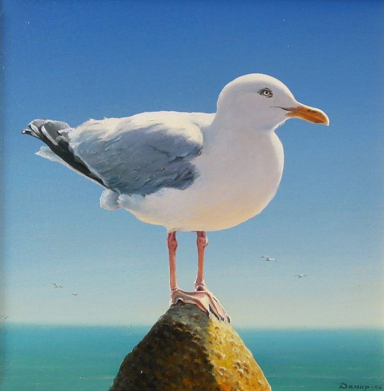Seagull, 2006. Саnvas, oil. 50 x 50 cm